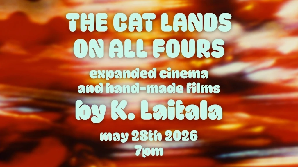The Cat Lands On All Fours